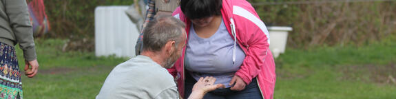 Angebote für Erwachsene